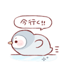 日常使いしやすいペンギンさん（個別スタンプ：26）