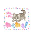 『サイベリアン』のスタンプ（個別スタンプ：9）