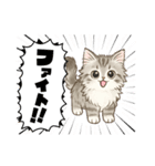 『サイベリアン』のスタンプ（個別スタンプ：10）