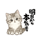 『サイベリアン』のスタンプ（個別スタンプ：11）