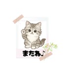 『サイベリアン』のスタンプ（個別スタンプ：17）