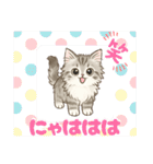 『サイベリアン』のスタンプ（個別スタンプ：19）