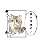 『サイベリアン』のスタンプ（個別スタンプ：34）