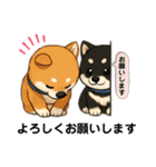 yukieのスタンプまめ柴ちゃん①（個別スタンプ：3）
