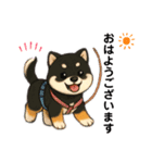 yukieのスタンプまめ柴ちゃん①（個別スタンプ：10）