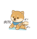 yukieのスタンプまめ柴ちゃん①（個別スタンプ：16）