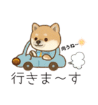 yukieのスタンプまめ柴ちゃん①（個別スタンプ：18）