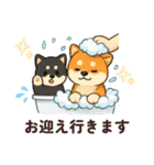 yukieのスタンプまめ柴ちゃん①（個別スタンプ：19）