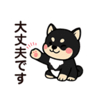 yukieのスタンプまめ柴ちゃん①（個別スタンプ：22）