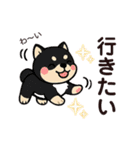 yukieのスタンプまめ柴ちゃん①（個別スタンプ：25）