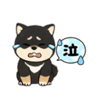 yukieのスタンプまめ柴ちゃん①（個別スタンプ：28）