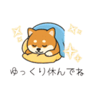 yukieのスタンプまめ柴ちゃん①（個別スタンプ：30）