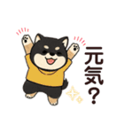 yukieのスタンプまめ柴ちゃん①（個別スタンプ：31）