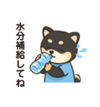 yukieのスタンプまめ柴ちゃん①（個別スタンプ：33）