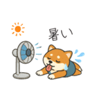 yukieのスタンプまめ柴ちゃん①（個別スタンプ：34）