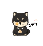 yukieのスタンプまめ柴ちゃん①（個別スタンプ：39）