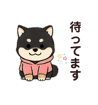 yukieのスタンプまめ柴ちゃん①（個別スタンプ：40）
