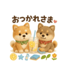 ふわふわ柴犬の夏スタンプ（個別スタンプ：12）