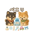 ふわふわ柴犬の夏スタンプ（個別スタンプ：13）
