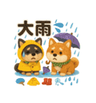 ふわふわ柴犬の夏スタンプ（個別スタンプ：20）