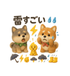 ふわふわ柴犬の夏スタンプ（個別スタンプ：21）