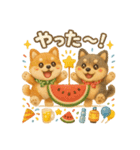 ふわふわ柴犬の夏スタンプ（個別スタンプ：27）