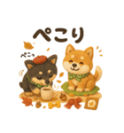 ふわふわ柴犬の秋スタンプ（個別スタンプ：13）