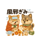 ふわふわ柴犬の秋スタンプ（個別スタンプ：15）