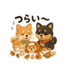ふわふわ柴犬の秋スタンプ（個別スタンプ：16）