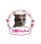 ポポ‎♡福♡あずあず.⋆⟡スタンプ（個別スタンプ：5）