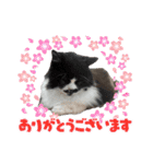 ポポ‎♡福♡あずあず.⋆⟡スタンプ（個別スタンプ：7）