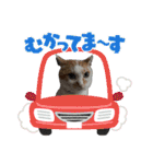 ポポ‎♡福♡あずあず.⋆⟡スタンプ（個別スタンプ：19）