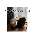 ポポ‎♡福♡あずあず.⋆⟡スタンプ（個別スタンプ：29）