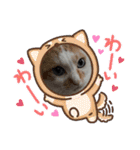 ポポ‎♡福♡あずあず.⋆⟡スタンプ（個別スタンプ：31）