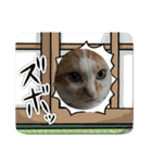 ポポ‎♡福♡あずあず.⋆⟡スタンプ（個別スタンプ：33）