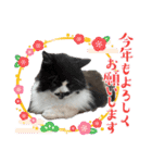 ポポ‎♡福♡あずあず.⋆⟡スタンプ（個別スタンプ：40）