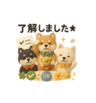 ふわふわ柴犬のまごころ便（個別スタンプ：1）