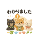 ふわふわ柴犬のまごころ便（個別スタンプ：2）
