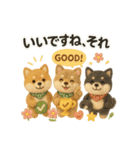 ふわふわ柴犬のまごころ便（個別スタンプ：4）