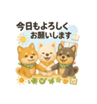 ふわふわ柴犬のまごころ便（個別スタンプ：7）