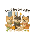 ふわふわ柴犬のまごころ便（個別スタンプ：8）