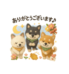 ふわふわ柴犬のまごころ便（個別スタンプ：12）