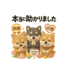 ふわふわ柴犬のまごころ便（個別スタンプ：14）