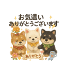 ふわふわ柴犬のまごころ便（個別スタンプ：17）