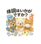 ふわふわ柴犬のまごころ便（個別スタンプ：18）