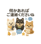 ふわふわ柴犬のまごころ便（個別スタンプ：19）