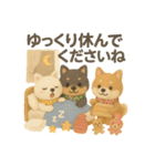 ふわふわ柴犬のまごころ便（個別スタンプ：20）
