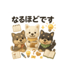 ふわふわ柴犬のまごころ便（個別スタンプ：21）