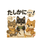 ふわふわ柴犬のまごころ便（個別スタンプ：22）