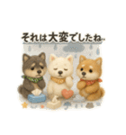 ふわふわ柴犬のまごころ便（個別スタンプ：25）